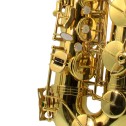 Sax Tenore J.Will mod. ST0102L