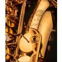 Sax alto Selmer Signature Laccato