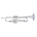 Tromba in Sib Yamaha YTR-8310ZS03 argentata