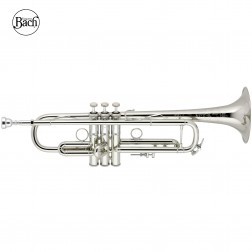 Tromba in Sib Vincent Bach "Anniversary" mod. 190S-43 argentata